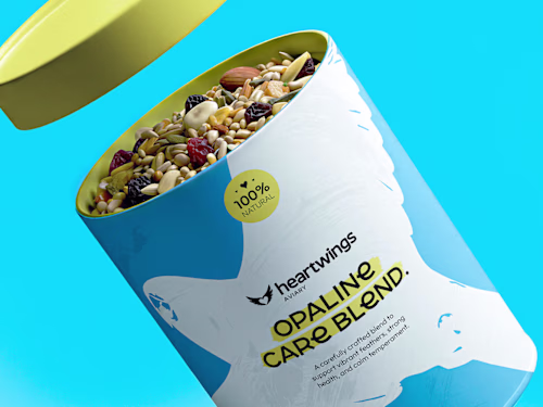 Heartwings | Brand Design