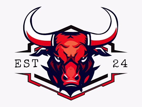 Professional Logo Design