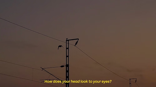 Captivating Visual Production