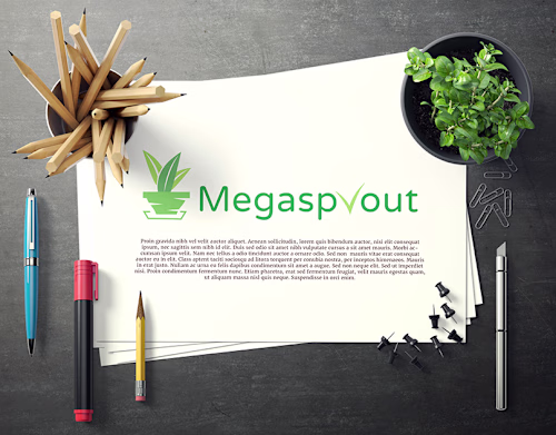 Megasprout: Logo Design & Visual Identity