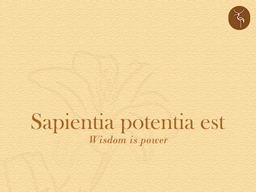 Brand Design  for Hekademia,a Social Media Brand