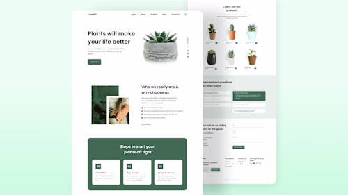 E-Commerce Website's 