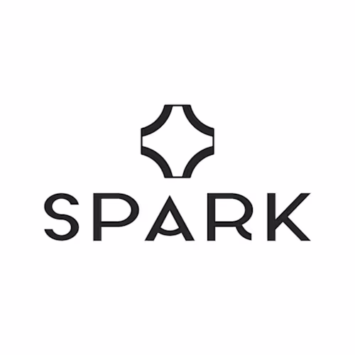 Spark - Electric Car Brand | Logo Design