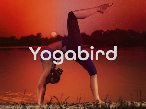 Brand Identity Design for Yogabird