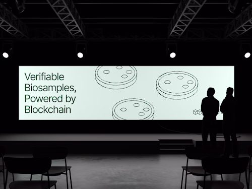 AminoChain - Brand & Website Development