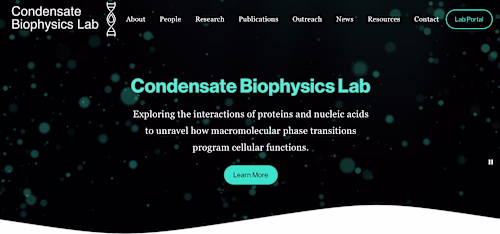 Biophysics Lab Website and Branding