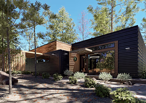 Modern house in the forest
