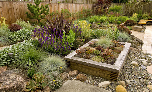 Choosing the Best Drought-Resistant Perennials for Las Vegas Ya…