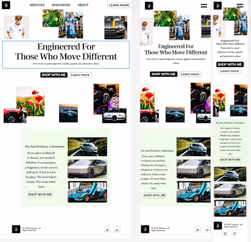 Framer Web Design  ALISSON