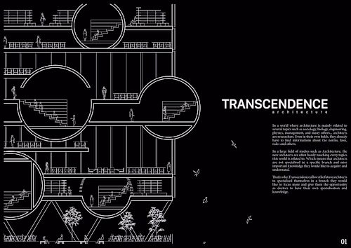 TRANSCENDENCE