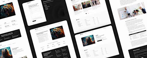 Sisem - SEO & SEM Company