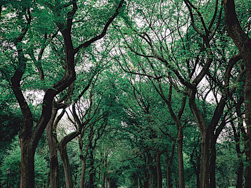 The gift of Nature