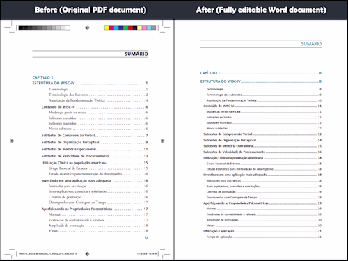 PDF Conversion & Document Formatting