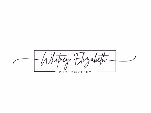 Logo Designs