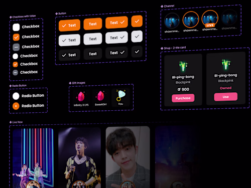 SMO: Design System for a Complex Live Entertainment Product
