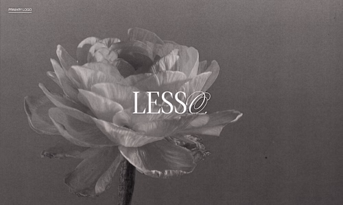 Lesso 🩰 Branding Identity + Web Design 