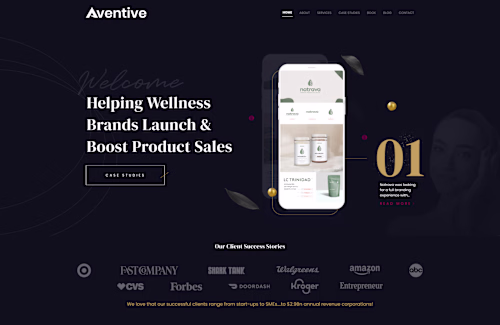 Website Design