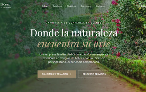 Web design and development for