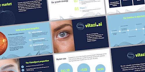 Vitazi.ai Visual Identity 