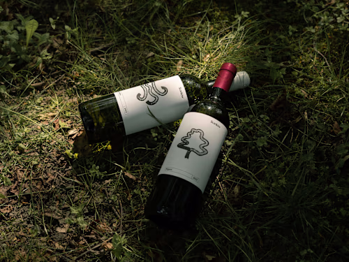 Winery Stanków branding