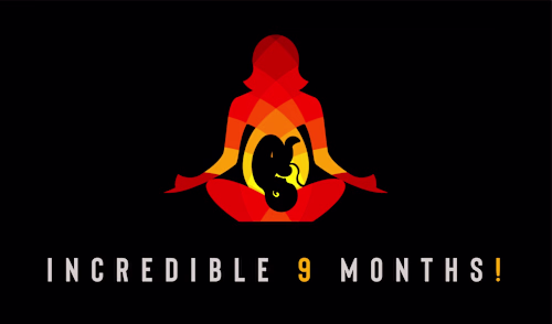 Logo Design for Incredible 9 Months