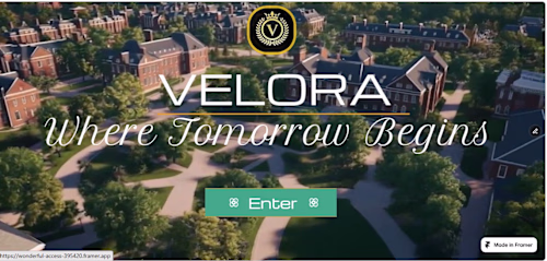 Velora-My first Framer project!
26 pages.
