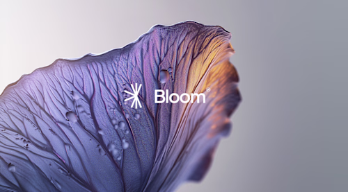 Art Direction and Brand Design