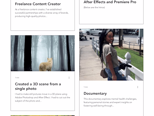 Video Editor