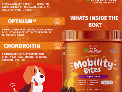 Social Media Marketing  for Care Paws