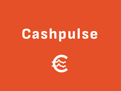 Cashpulse Branding - Sophie Jakeli
