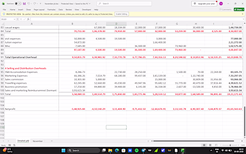 Prepared an integrated P&L consolidating