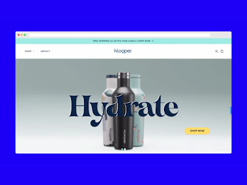 A High-Performing Shopify eCommerce Website Generating Over $10k