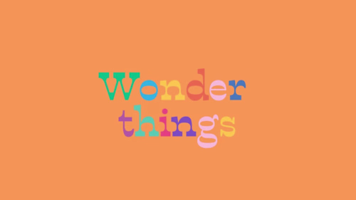 Wonder Things 
