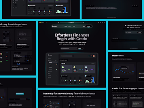 Credo Finance Landing Page