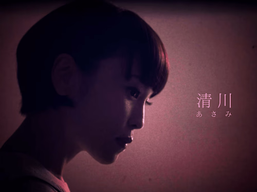 美女採集 - 清川あさみ | Bijosaishu - Kiyokawa Asami