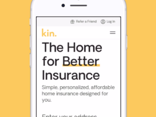 Social Media Strategy and Execution for Kin Insurance