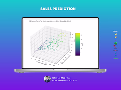 Predictive Marketing Analytics: Optimizing Advertising