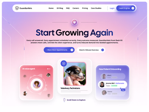 Web Designs