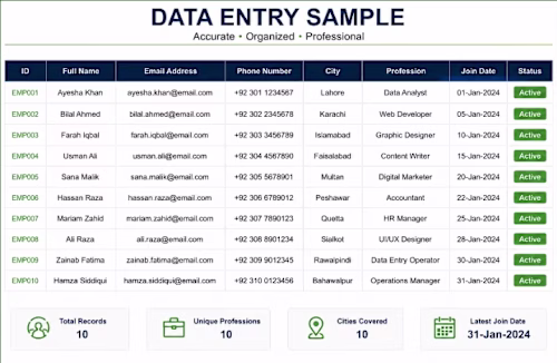 Professional data entry sample and