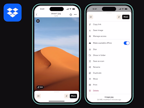 Dropbox Mobile App: File Action Sheet