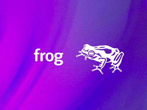 frog design — Mariam Khan