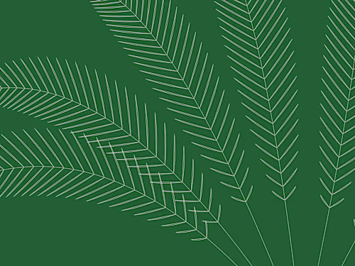 Ministry of Environment, Water & Agriculture - Web UX