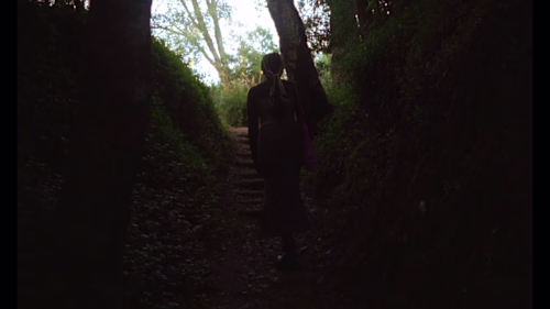 The Species in between Memory and Reverie | Trailer