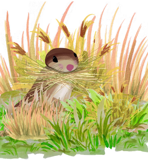 An Interactive web-based story called "A Squirrel Story"