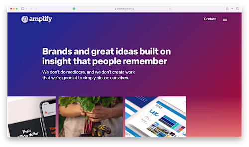 WordPress Development for Small & Large Businesses