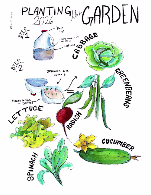 Planting Garden Infographic