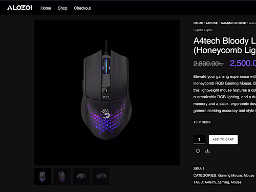 ALOZOI: E-commerce Website Development