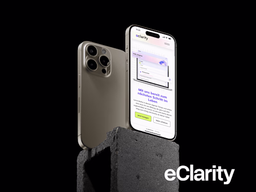 Eclarity: Ads, Landing Pages & Website