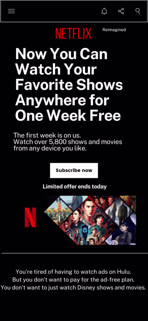 Portfolio: Streaming Service Subscription