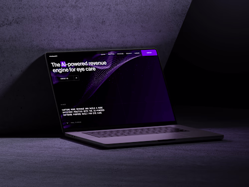 Landing Page Development for Visionairy